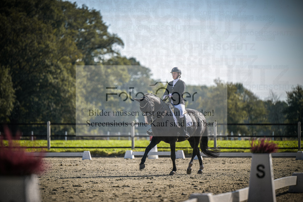 DOS_1844 | Entdecke hochwertige Reitturnierfotos von Foto Oger. Professionell, emotional und authentisch – jetzt Lieblingsmomente im Shop bestellen.Deutschlandweite Turnierfotografie. - Realisiert mit Pictrs.com