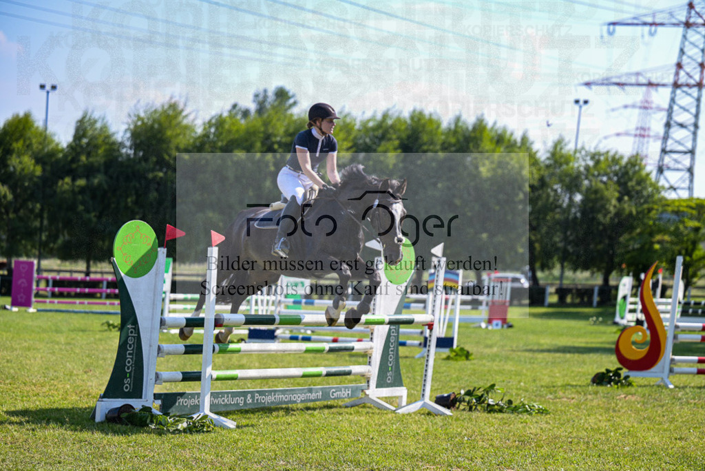 Reitturnier Voxtrup | Entdecke hochwertige Reitturnierfotos von Foto Oger. Professionell, emotional und authentisch – jetzt Lieblingsmomente im Shop bestellen. - Realisiert mit Pictrs.com