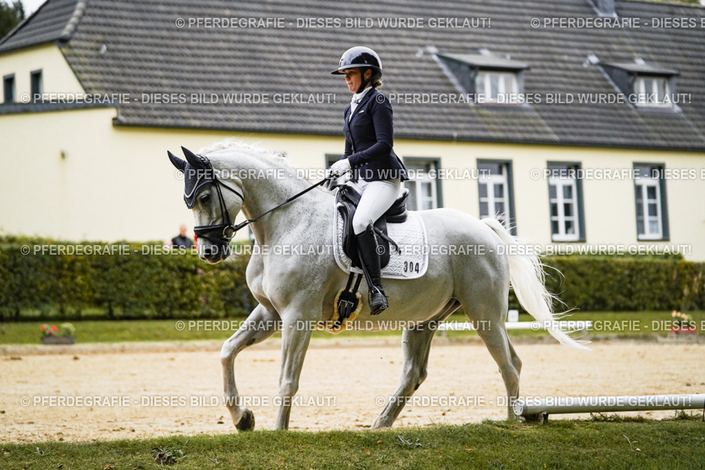 DSC06564 | Pferdegrafie