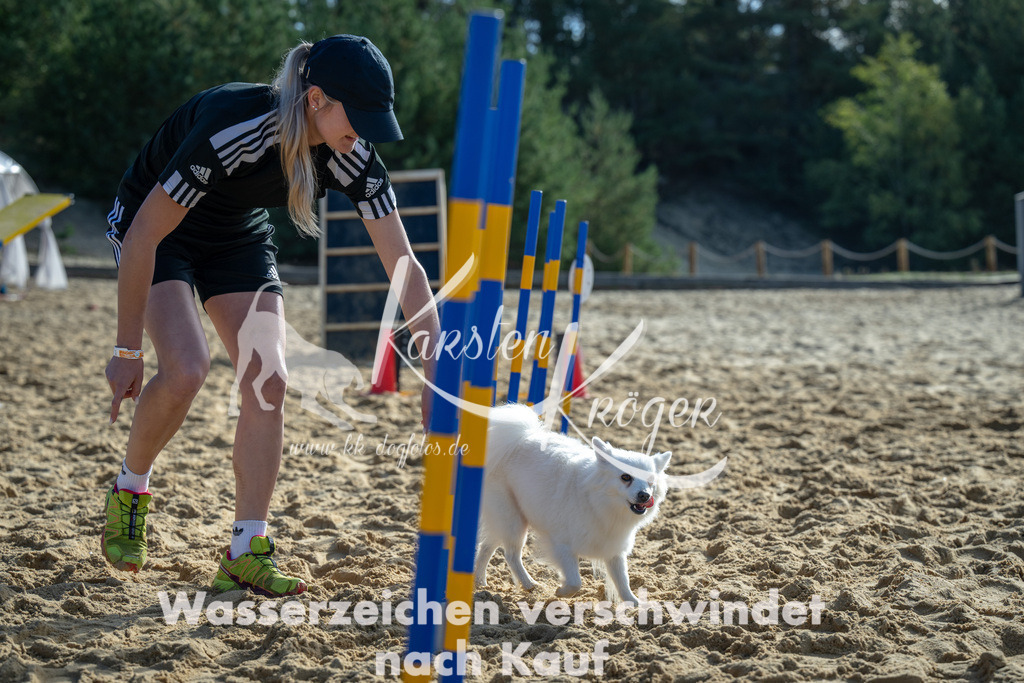 1105_ZZ90299 | kk-dogfotos