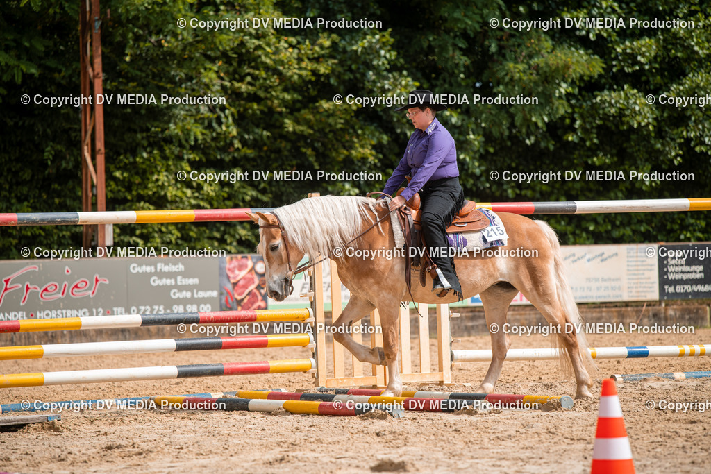 ZS2_7713 | dv-media-shop - Realisiert mit Pictrs.com