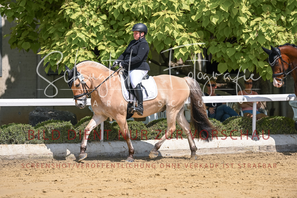 Schugtsche-Aluta25-53.Amat.Dressurprf.A2-252 | Schugtsche Fotografie - Realisiert mit Pictrs.com