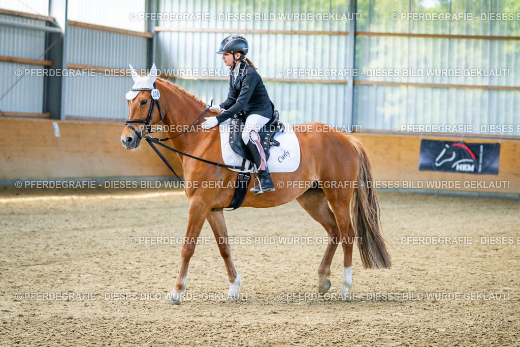 DSC03113 | Pferdegrafie