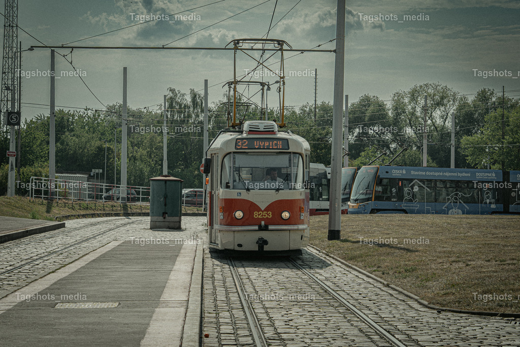 A7506082 | tagshotsmedia - Realisiert mit Pictrs.com
