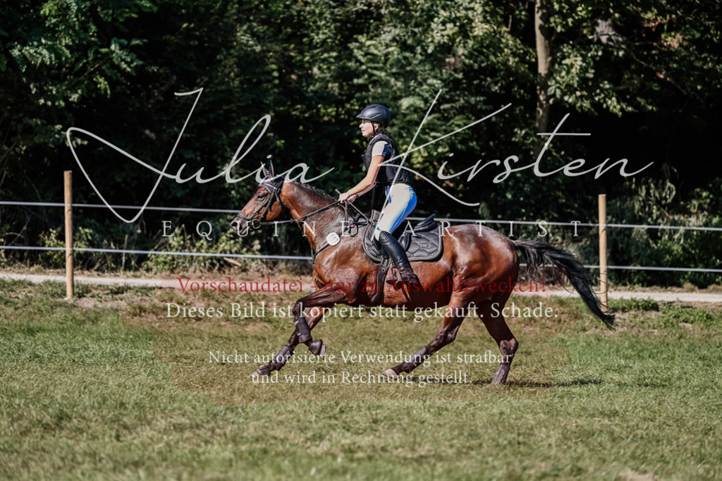 DSC_3295 | Pferde- und Turnierfotografie in Westsachsen. Pferdeportraits, Auftragszeichnungen und intuitive Kunst.