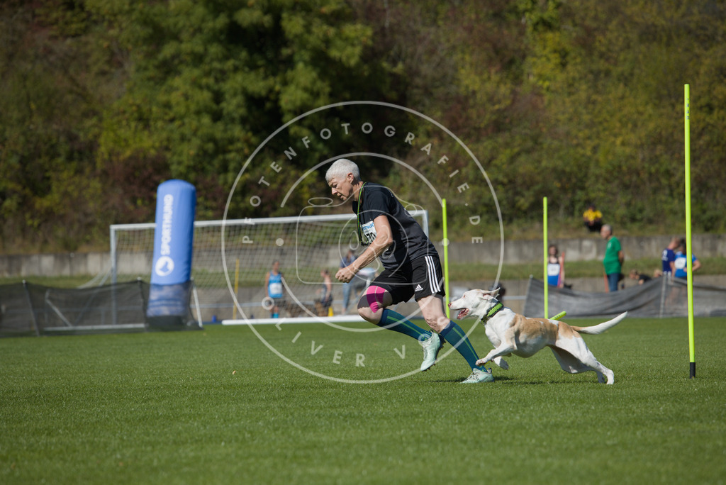 0L8A6664 | Hundefotografie, Tierfotograf, Pfotenfotografie, Fotoshooting Hund, Hunde Portrait, Hundesport, Hundeportraits, Heideshooting, Hunde, Sportfotograf, Hundefotograf, Turnierhundsport, THS,  - Realisiert mit Pictrs.com