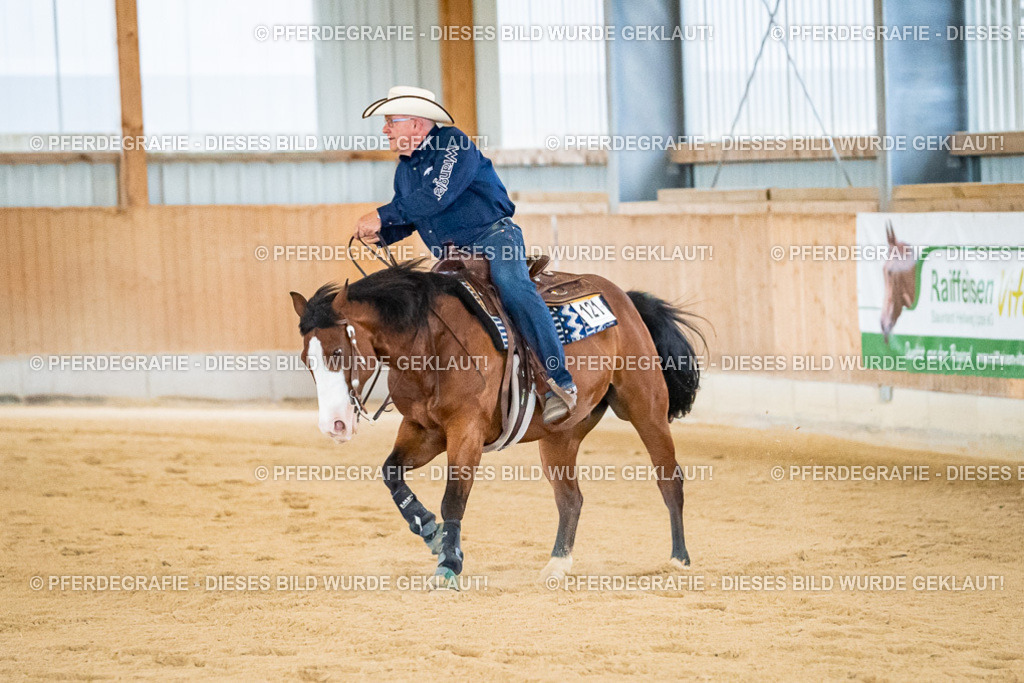 DSC08613 | Pferdegrafie