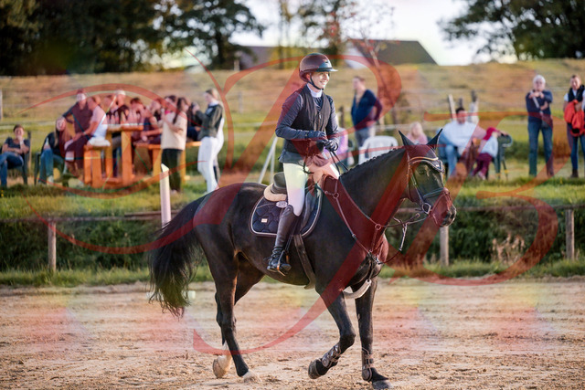 2026_10_03_Siefer-Hof_171627_Z81_14369057 | Professionelle Reitsport-, Turnier- und Eventfotografie von Robert Broda. Galerien mit ausgewählten und bearbeiteten Bildern direkt online ansehen und bestellen.