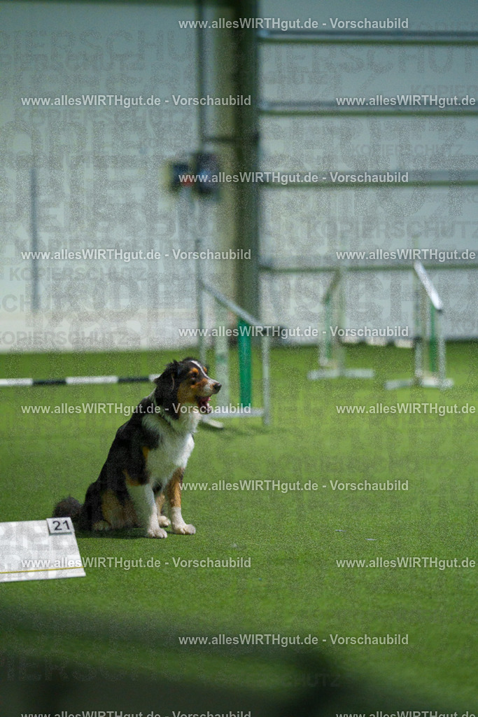7R506966 | Professionelle Tierfotografie in Mönchengladbach von Daniel Wirth (allesWIRTHgut). Liebevolle & natürliche Bilder von Hunden & Katzen für unvergessliche Erinnerungen.