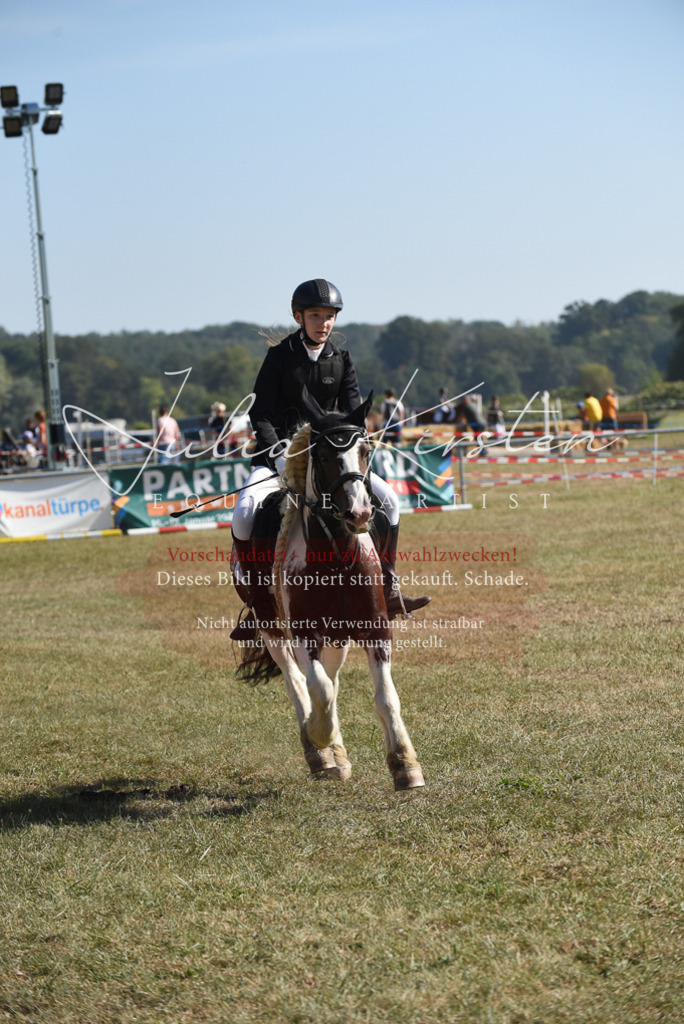 DSC_6094 | Pferde- und Turnierfotografie in Westsachsen. Pferdeportraits, Auftragszeichnungen und intuitive Kunst.