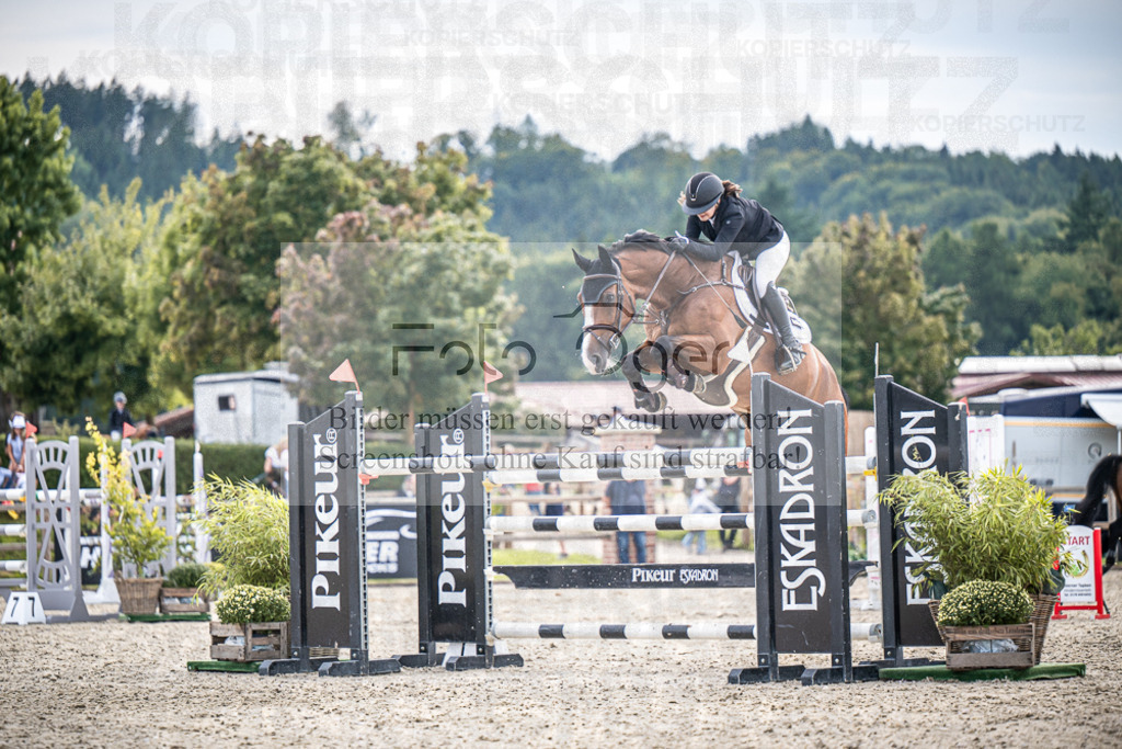 DOS_2656 | Entdecke hochwertige Reitturnierfotos von Foto Oger. Professionell, emotional und authentisch – jetzt Lieblingsmomente im Shop bestellen.Deutschlandweite Turnierfotografie. - Realisiert mit Pictrs.com