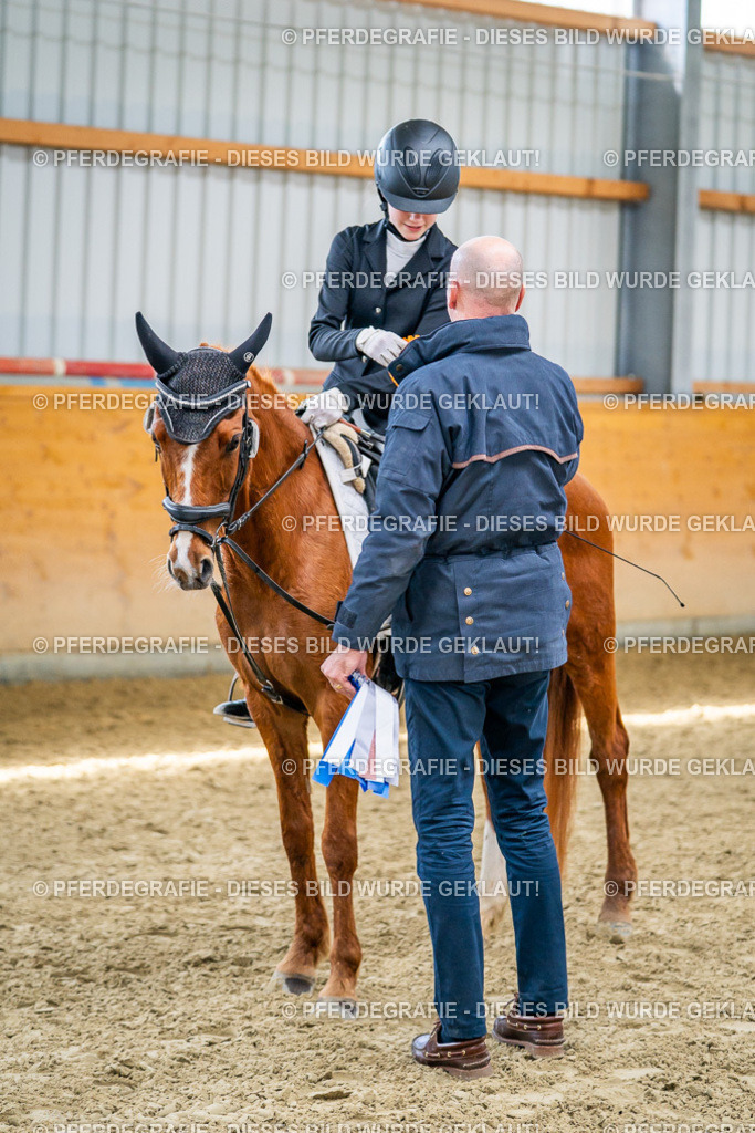 DSC03822 | Pferdegrafie