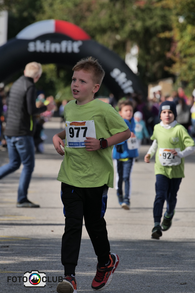 P1039177 | Foto Buchgraber