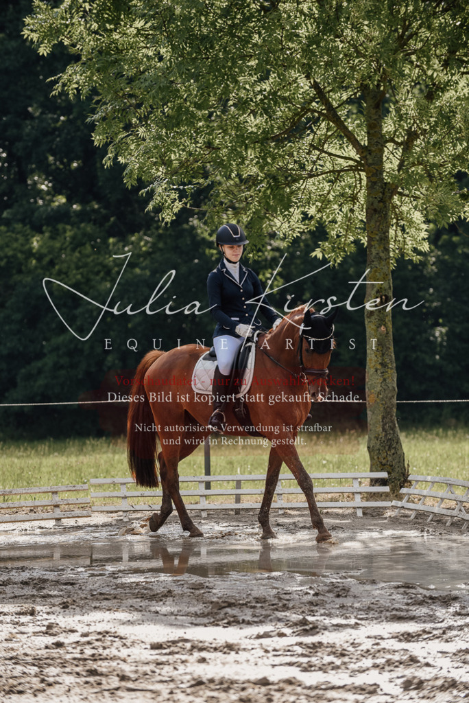 DSC_8865 | Pferde- und Turnierfotografie in Westsachsen. Pferdeportraits, Auftragszeichnungen und intuitive Kunst.