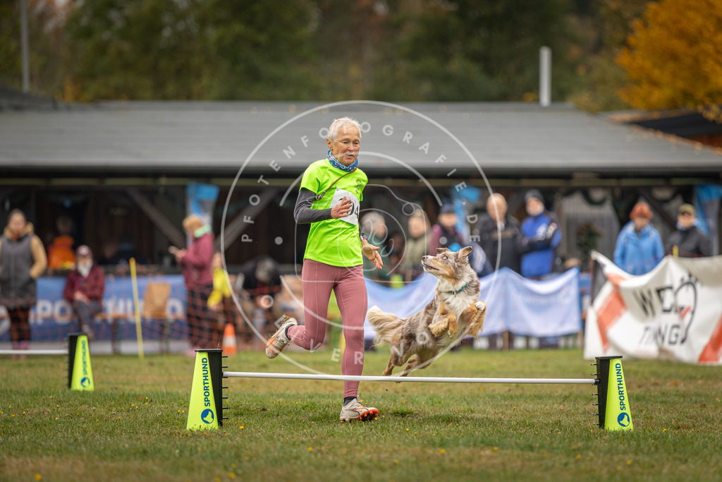Pfotenfotografie_DV3A1686 | Hundefotografie, Tierfotograf, Pfotenfotografie, Fotoshooting Hund, Hunde Portrait, Hundesport, Hundeportraits, Heideshooting, Hunde, Sportfotograf, Hundefotograf, Turnierhundsport, THS,  - Realisiert mit Pictrs.com