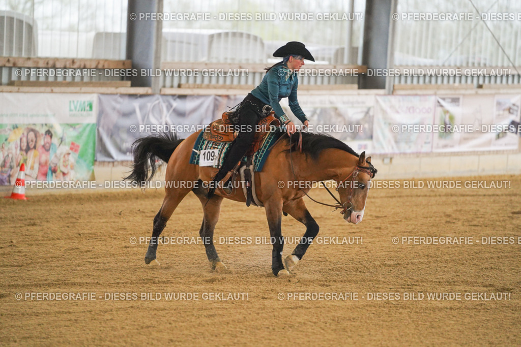 DSC09795 | Pferdegrafie