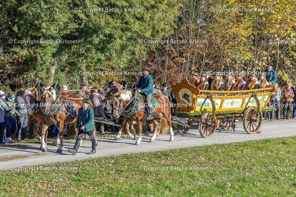 LBT25-615 | foto-bettina-krinner - Realisiert mit Pictrs.com