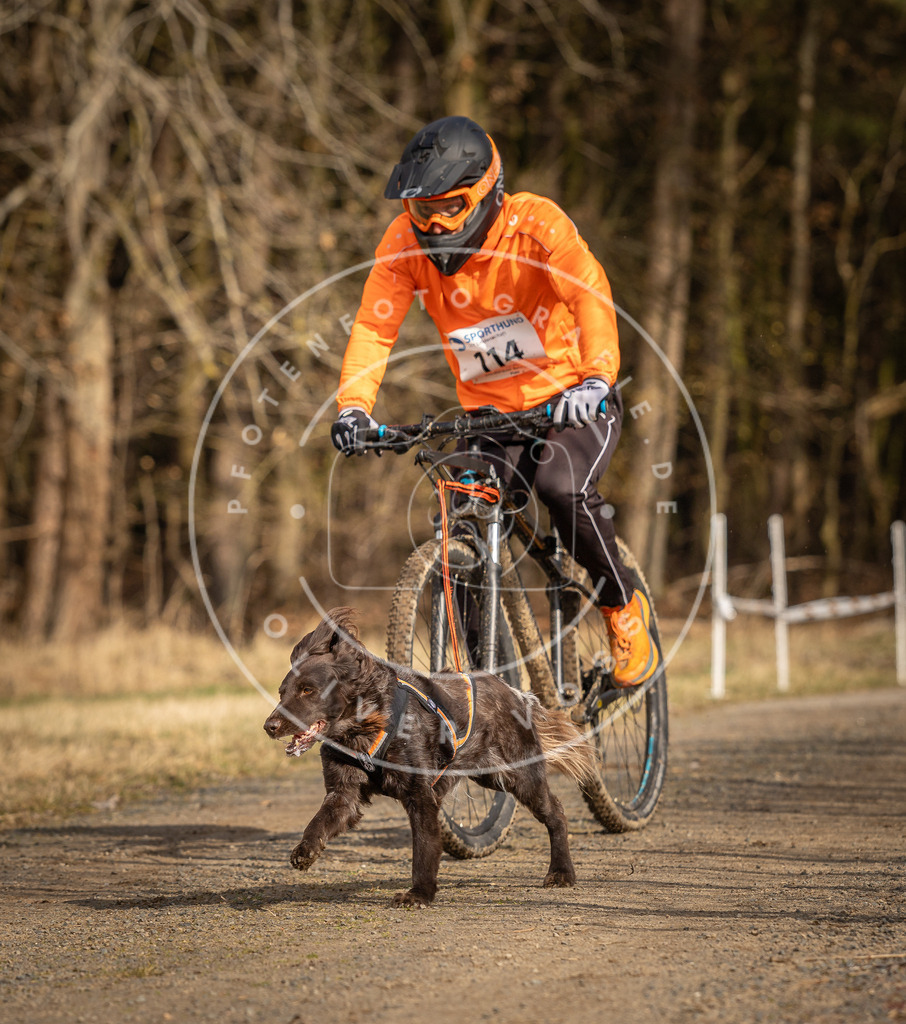 DV3A4462 | Hundefotografie, Tierfotograf, Pfotenfotografie, Fotoshooting Hund, Hunde Portrait, Hundesport, Hundeportraits, Heideshooting, Hunde, Sportfotograf, Hundefotograf, Turnierhundsport, THS,  - Realisiert mit Pictrs.com
