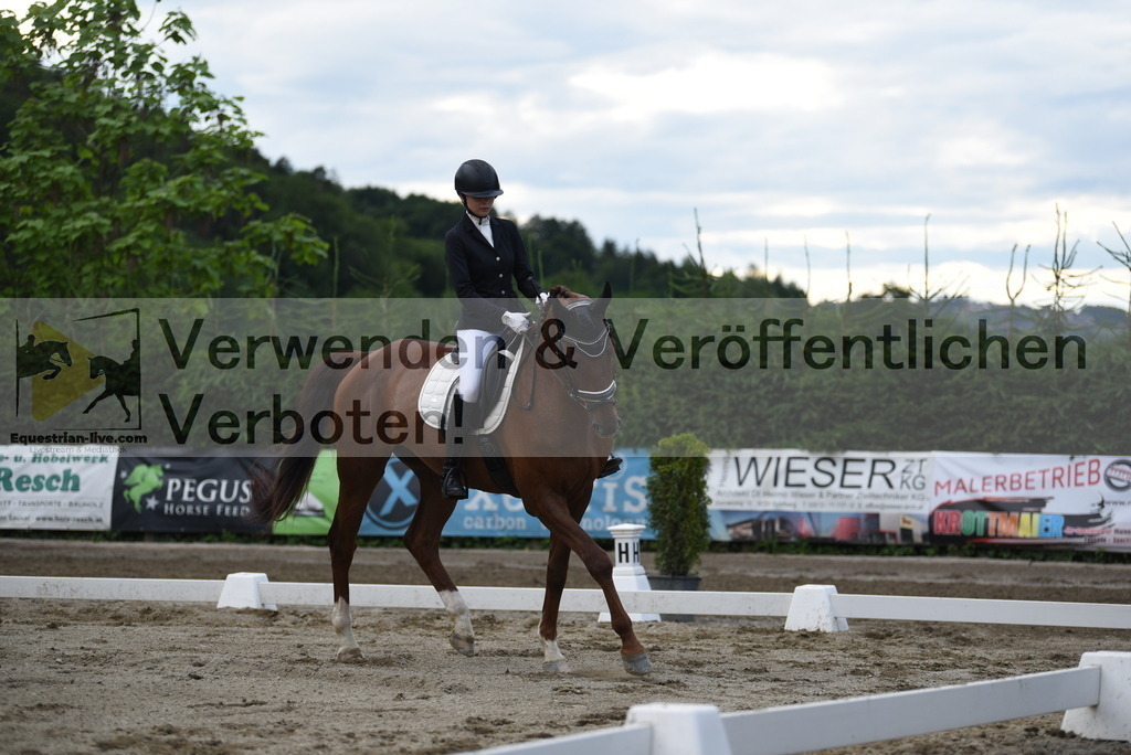 DSC_6563 | equestrian-live-com
