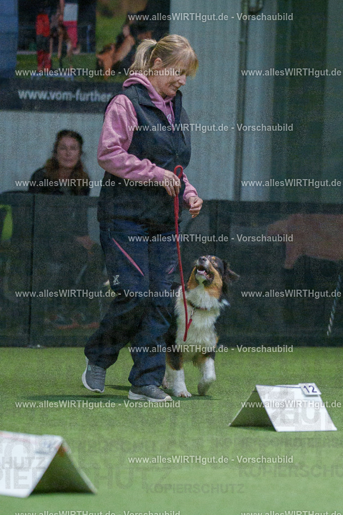 7R501019 | Professionelle Tierfotografie in Mönchengladbach von Daniel Wirth (allesWIRTHgut). Liebevolle & natürliche Bilder von Hunden & Katzen für unvergessliche Erinnerungen.