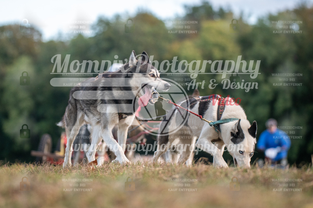 CDLBDB_15_10_2023_Dimanche-41 | PayLife