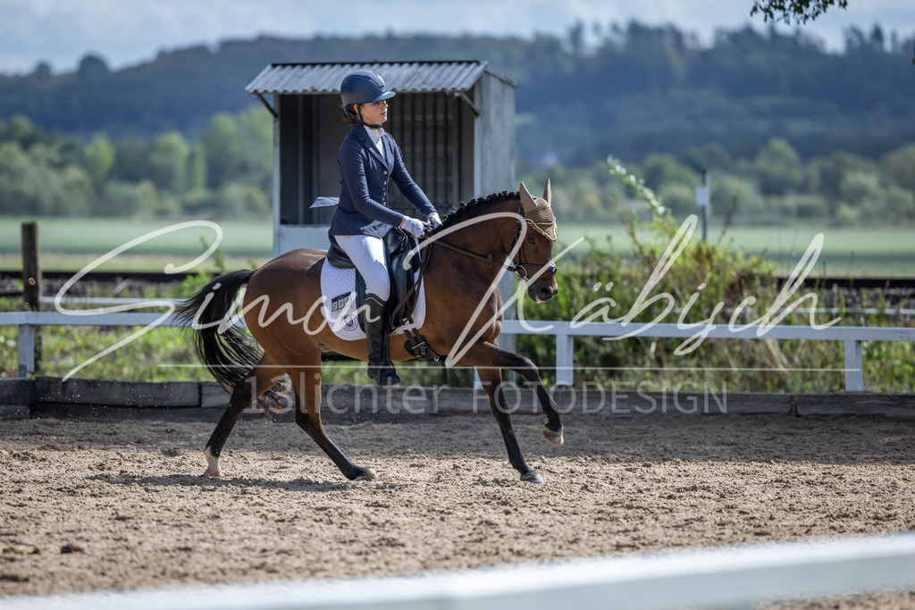 20260905-_3LI8410 | Tierfotografie Pferde, Hunde, Katzen, Haustiere.
Turnierfotografie Reitturniere, Reiten, Springreiten, Dressur in Hanau, dem Main-Kinzig-Kreis und dem Rhein-Main- Gebiet um Frankfurt