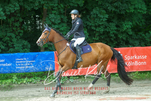 DKP44620 | Turniersportfotografie; Pferdefotografie; Dressurfotografie