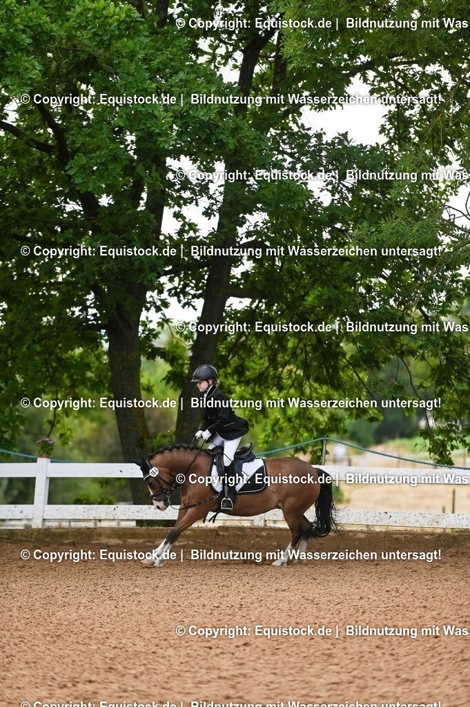 20230716_10-2_Reiter-WB Schritt - Trab - Galopp_0139 | equistock
