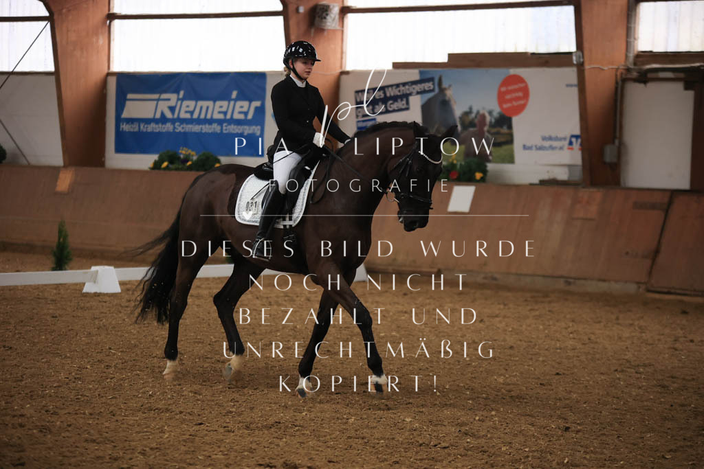 IMGT8984 | pl-fotografie