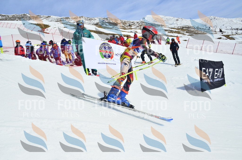 _ELE1458 | holidayphoto