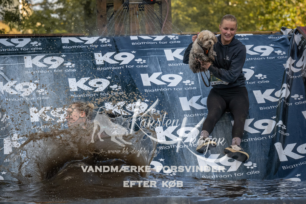 1557_ZZ91482 | kk-dogfotos