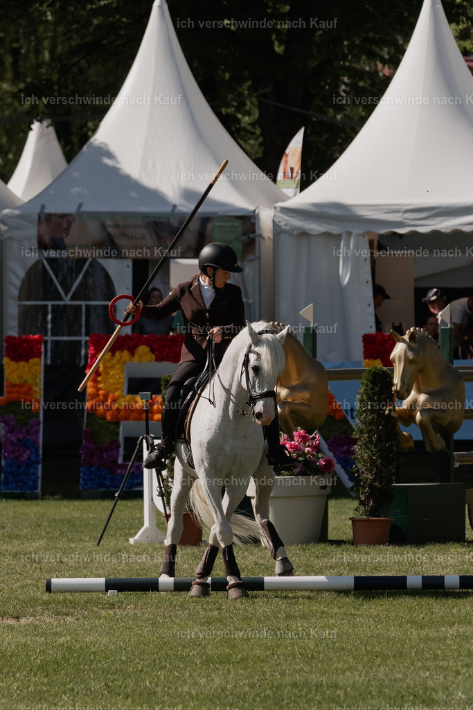 SIN00661 | Pferd International München 2025