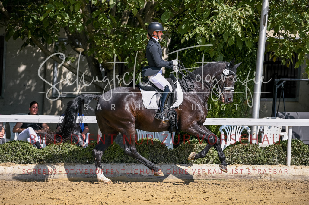 Schugtsche-Aluta25-52.Dressurprf.M2Kand-484 | Schugtsche Fotografie - Realisiert mit Pictrs.com