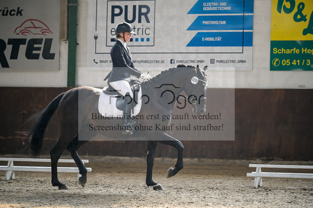 Reitturnier Voxtrup | Entdecke hochwertige Reitturnierfotos von Foto Oger. Professionell, emotional und authentisch – jetzt Lieblingsmomente im Shop bestellen.Deutschlandweite Turnierfotografie. - Realisiert mit Pictrs.com