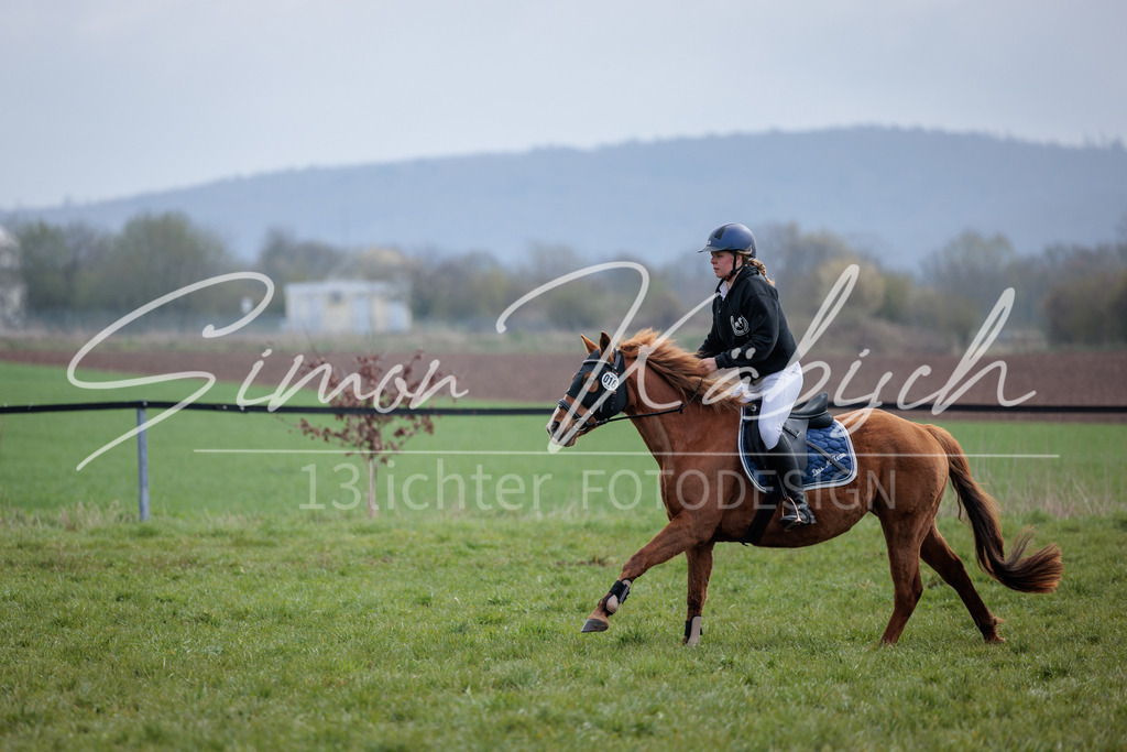 20260329-_3LI4273 | Tierfotografie Pferde, Hunde, Katzen, Haustiere.
Turnierfotografie Reitturniere, Reiten, Springreiten, Dressur in Hanau, dem Main-Kinzig-Kreis und dem Rhein-Main- Gebiet um Frankfurt