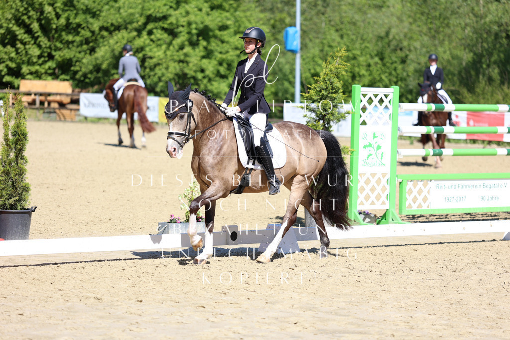 IMGS0802 | pl-fotografie