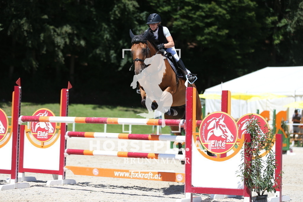 AS8V8750 | Willkommen bei Brunnmayr - Design & Fotografie – Ihrem Spezialisten für Reitturniere und Pferdeveranstaltungen in Oberösterreich, Salzburg und Bayern! Seit über 17 Jahren sind wir leidenschaftlich dabei.