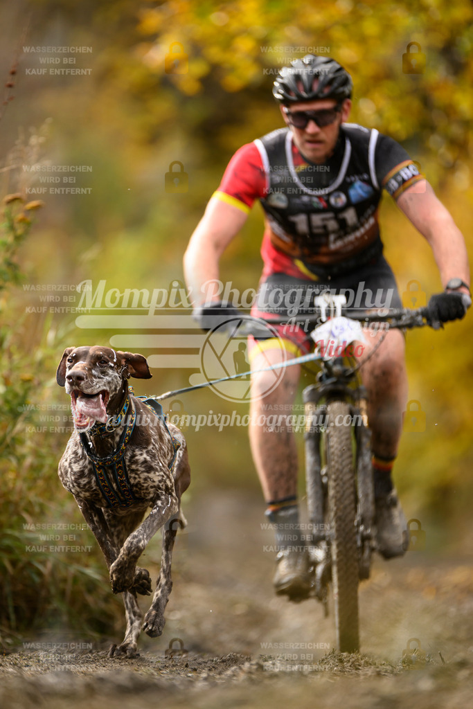 MompixPhotography_ICF_WC_2024_SA_Bike_-188 | PayLife