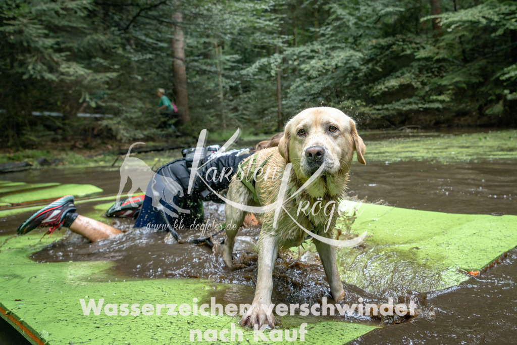 1511_ZZ94633-Bearbeitet | kk-dogfotos