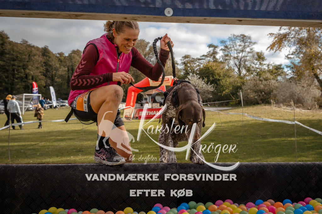 1335_ZZ91549-2 | kk-dogfotos