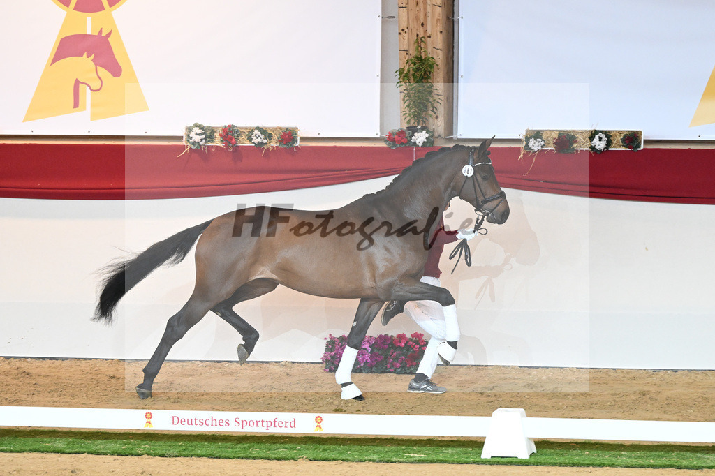 Kat-Nr. 61 Jovian_Limbecker GmbH_1230326 | hf-fotografie - Realisiert mit Pictrs.com