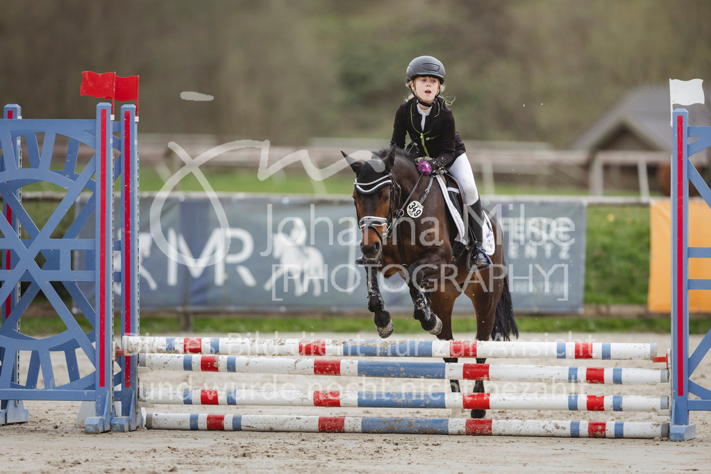 240330_Fruehlingsfest_Stilspring-WB-585 | Deine schönsten Turniermomente als professionelle Fotos! Entdecke hochwertige Pferdesport-Fotografie im Online-Shop. Jetzt Fotos finden & bestellen!