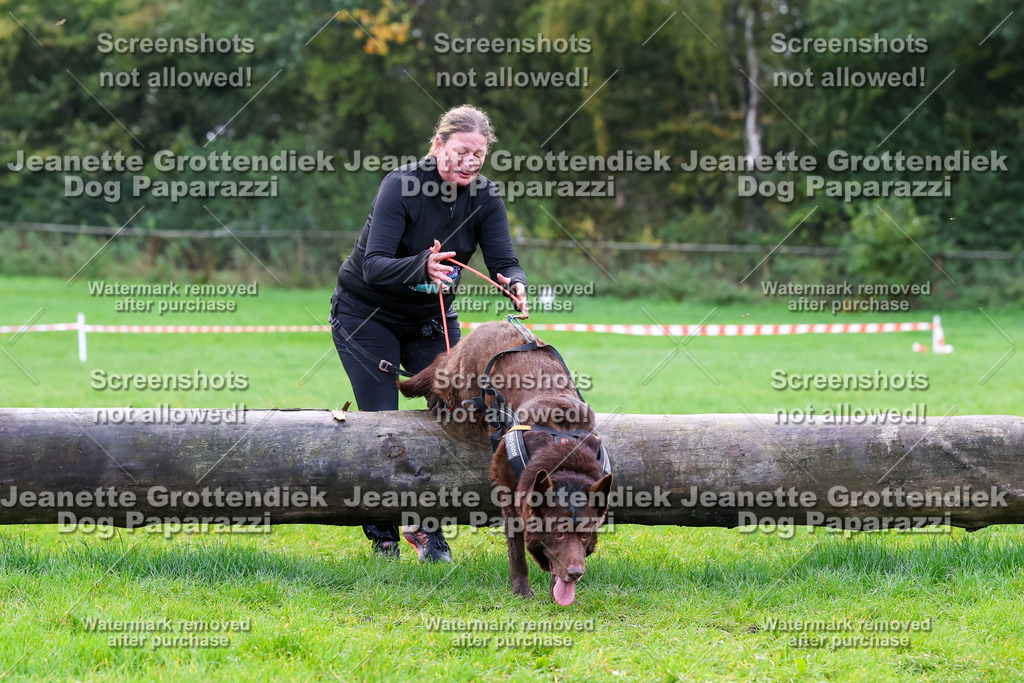 Dog Paparazzi -  SD1026-1018 | Dog Paparazzi Jeanette Grottendiek Fotografie & Videografie - Realisiert mit Pictrs.com