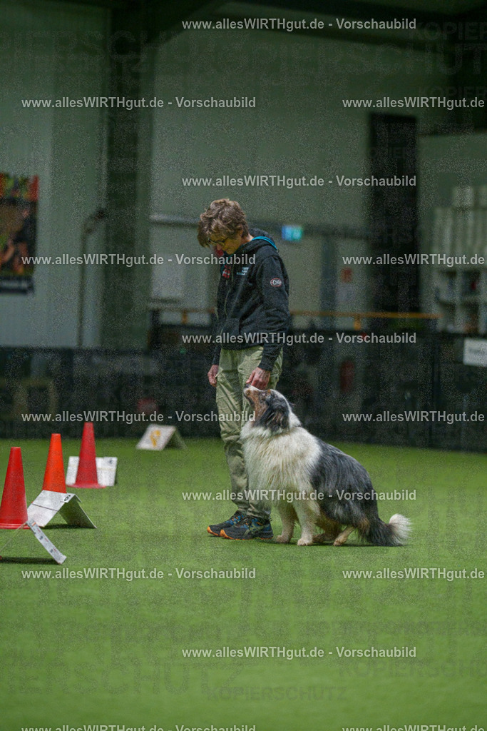 7R504699 | Professionelle Tierfotografie in Mönchengladbach von Daniel Wirth (allesWIRTHgut). Liebevolle & natürliche Bilder von Hunden & Katzen für unvergessliche Erinnerungen.