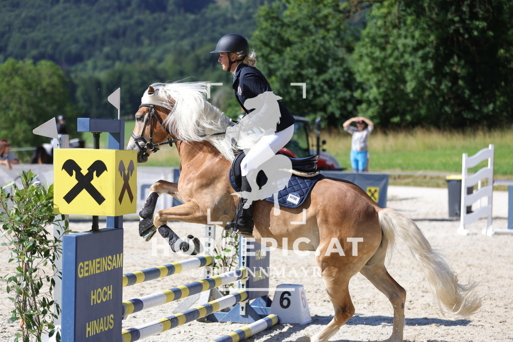 0P6A4013 | Willkommen bei Brunnmayr - Design & Fotografie – Ihrem Spezialisten für Reitturniere und Pferdeveranstaltungen in Oberösterreich, Salzburg und Bayern! Seit über 17 Jahren sind wir leidenschaftlich dabei.