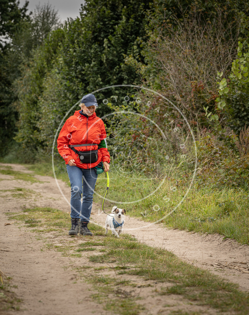 Pfotenfotografie_DV3A8120 | Hundefotografie, Tierfotograf, Pfotenfotografie, Fotoshooting Hund, Hunde Portrait, Hundesport, Hundeportraits, Heideshooting, Hunde, Sportfotograf, Hundefotograf, Turnierhundsport, THS,  - Realisiert mit Pictrs.com
