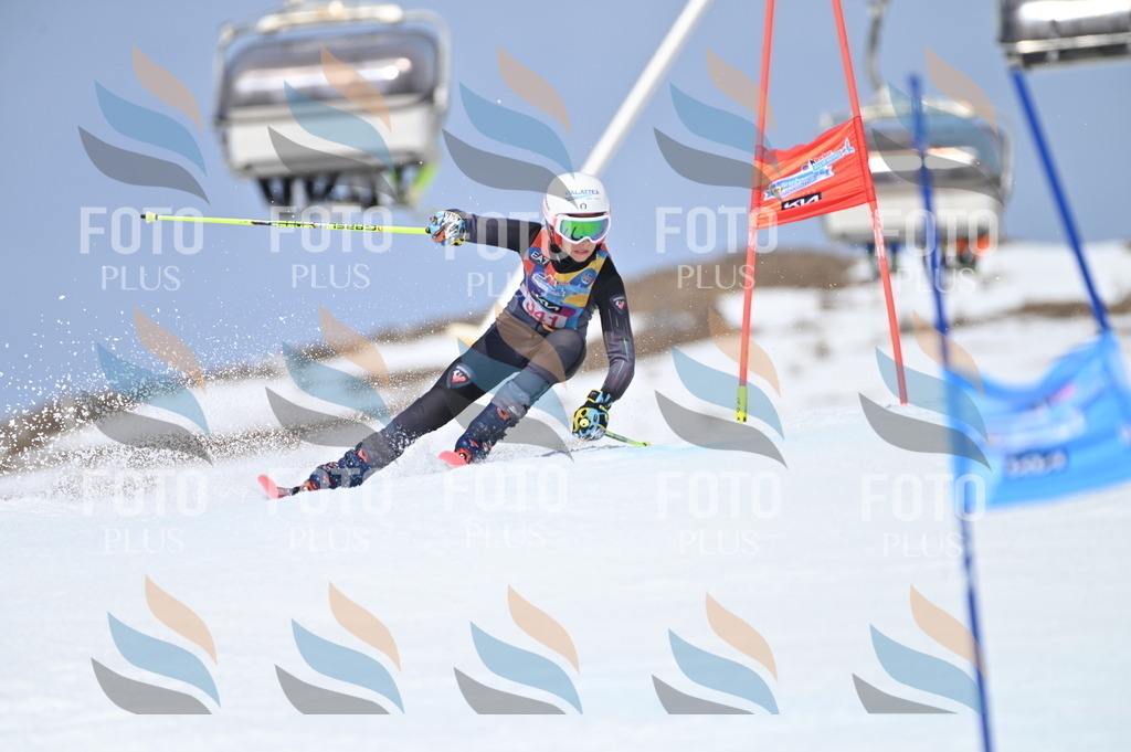 BGV_3457 | holidayphoto