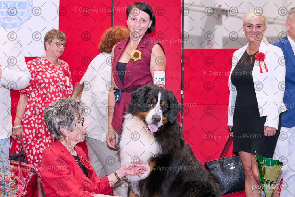 202406_ÖKV-IHA-Tulln24_NZ9_8849 | proPHOTO - Realisiert mit Pictrs.com