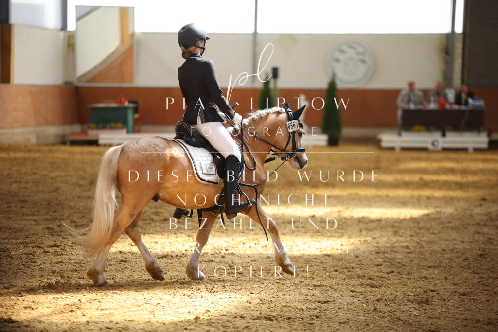 IMGT0782 | pl-fotografie