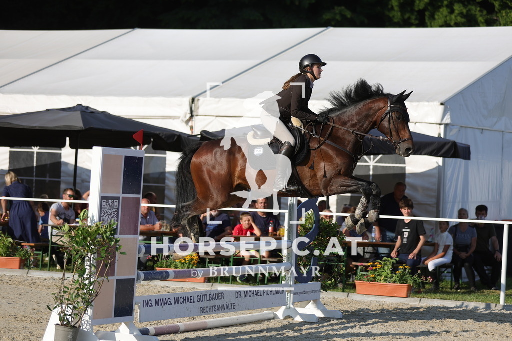 0P6A6636 | Willkommen bei Brunnmayr - Design & Fotografie – Ihrem Spezialisten für Reitturniere und Pferdeveranstaltungen in Oberösterreich, Salzburg und Bayern! Seit über 17 Jahren sind wir leidenschaftlich dabei.